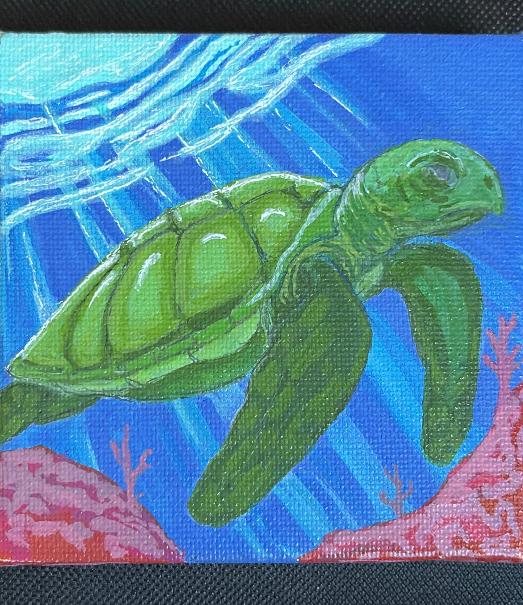 sea turtle 4"x4"