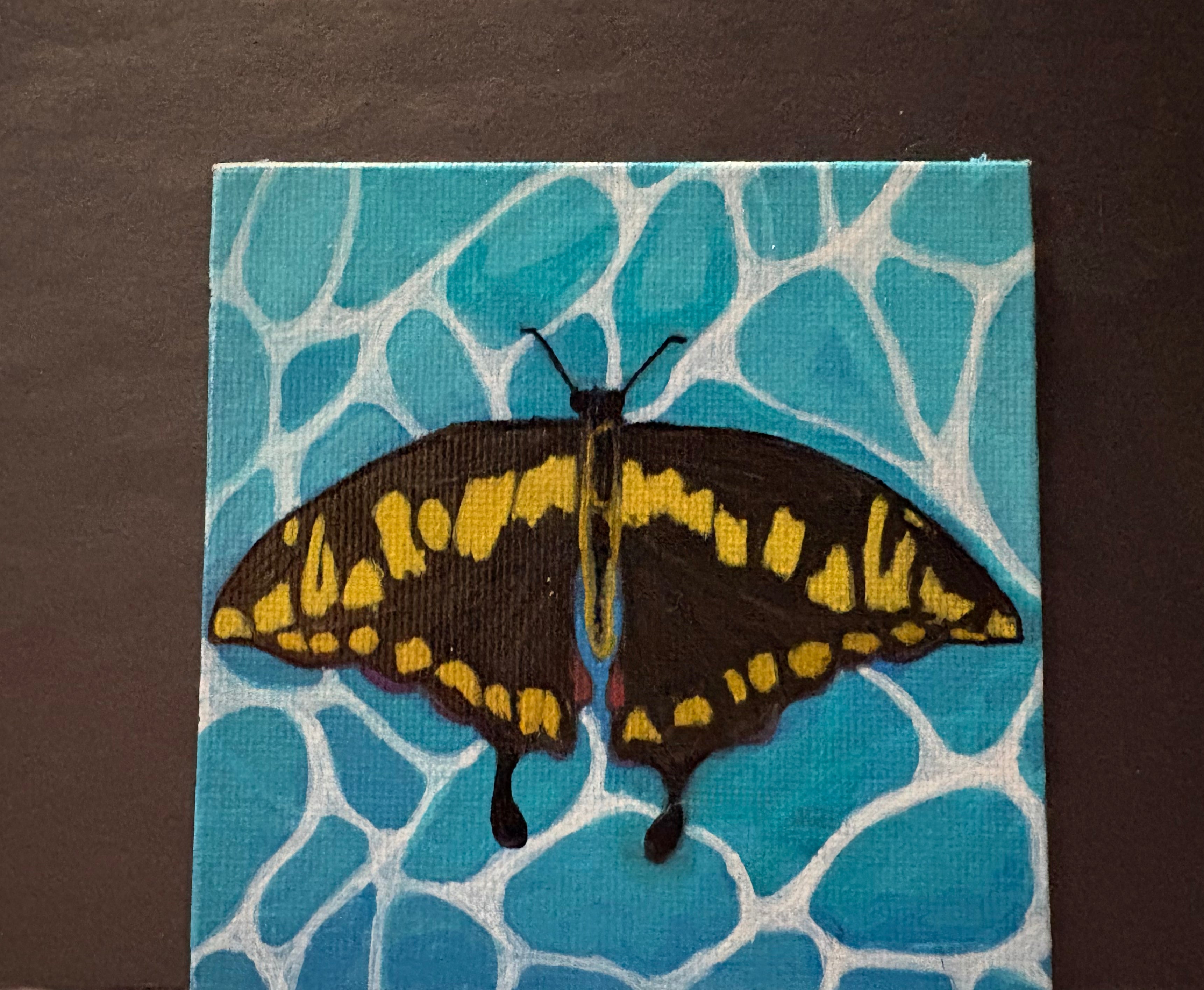 Swallowtail butterfly 4"x4"